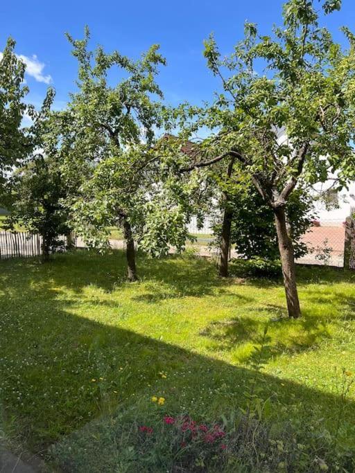 Wunderschoene Wohnung In Perfekter Lage Hilpoltstein Extérieur photo